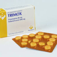 trimox-250x250